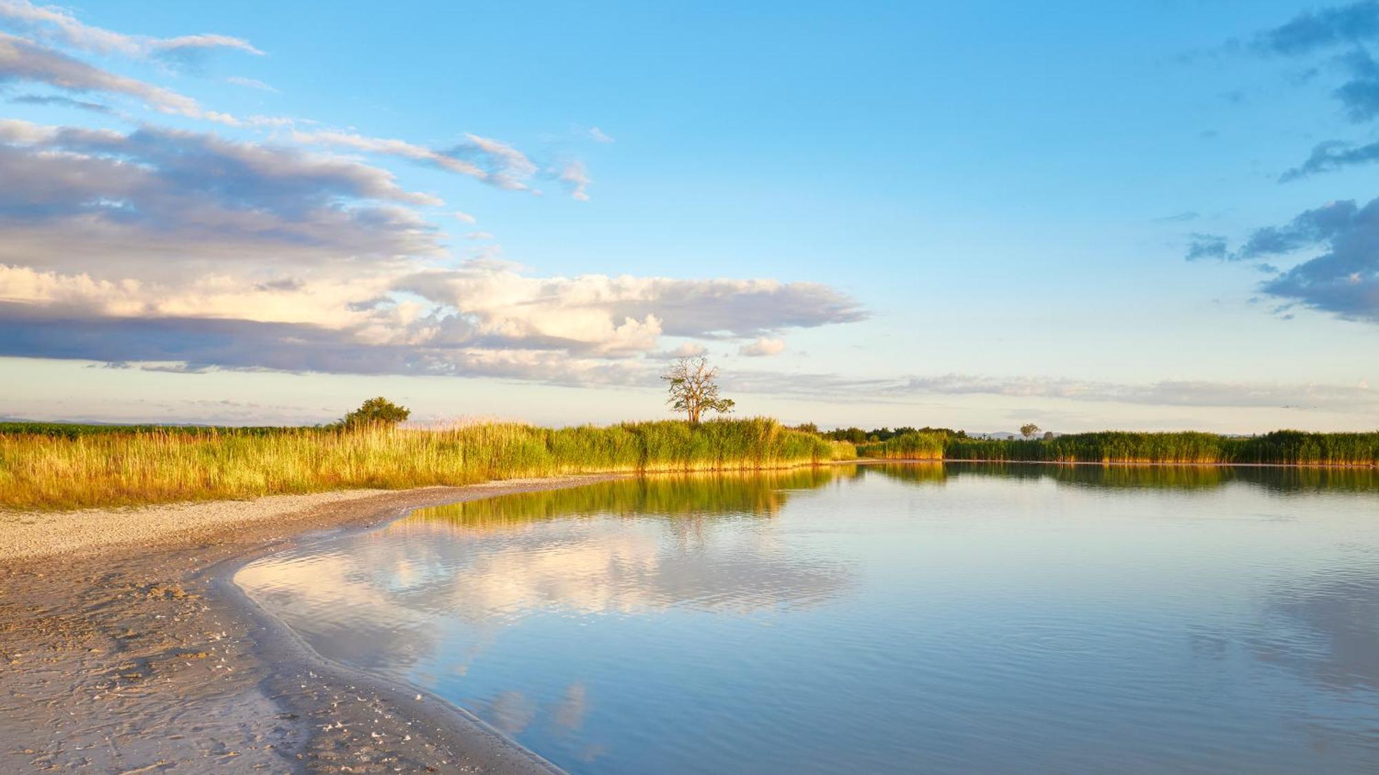 Pannonia Apartments Morbisch am See Bagian luar foto