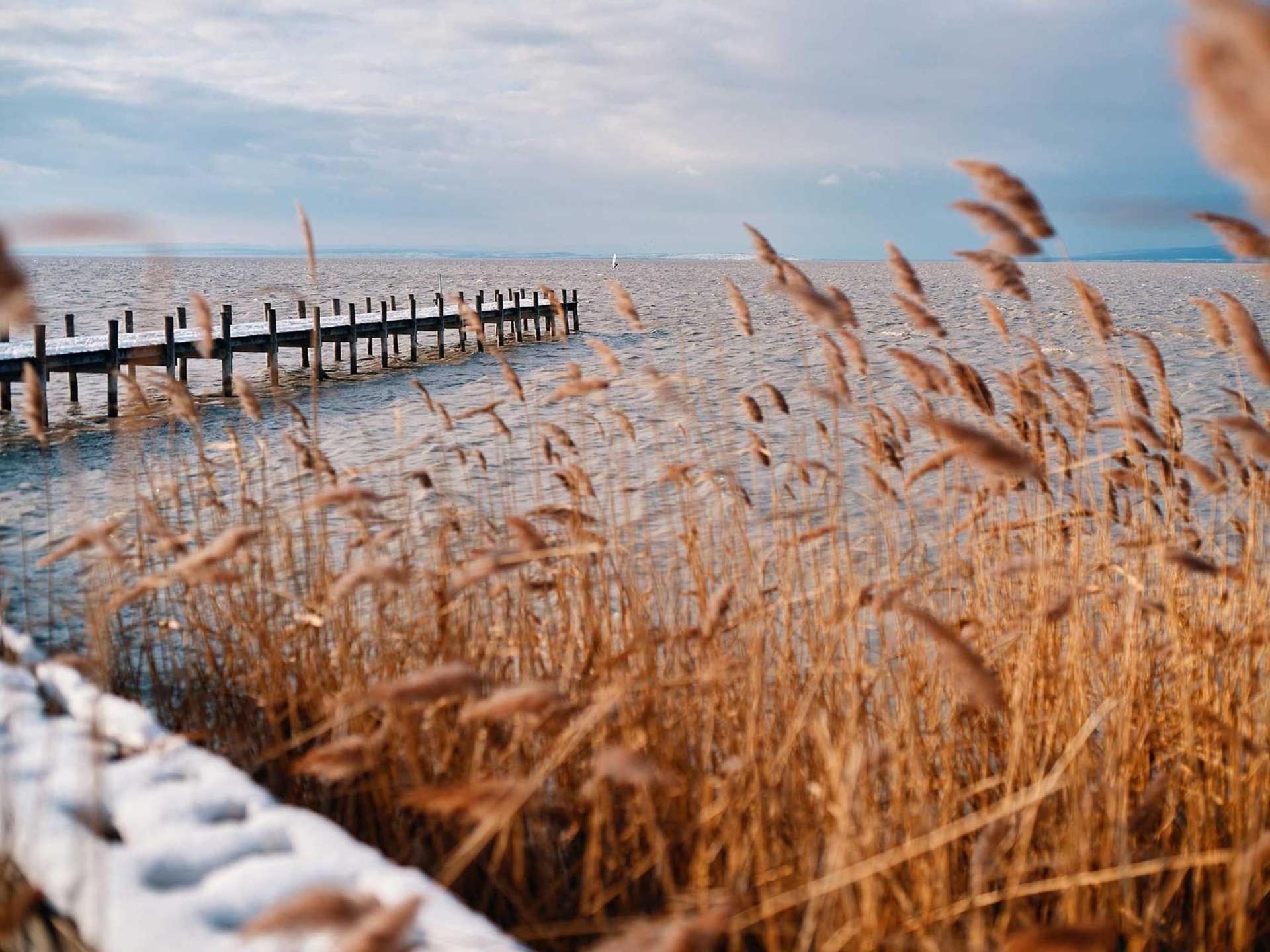 Pannonia Apartments Morbisch am See Bagian luar foto